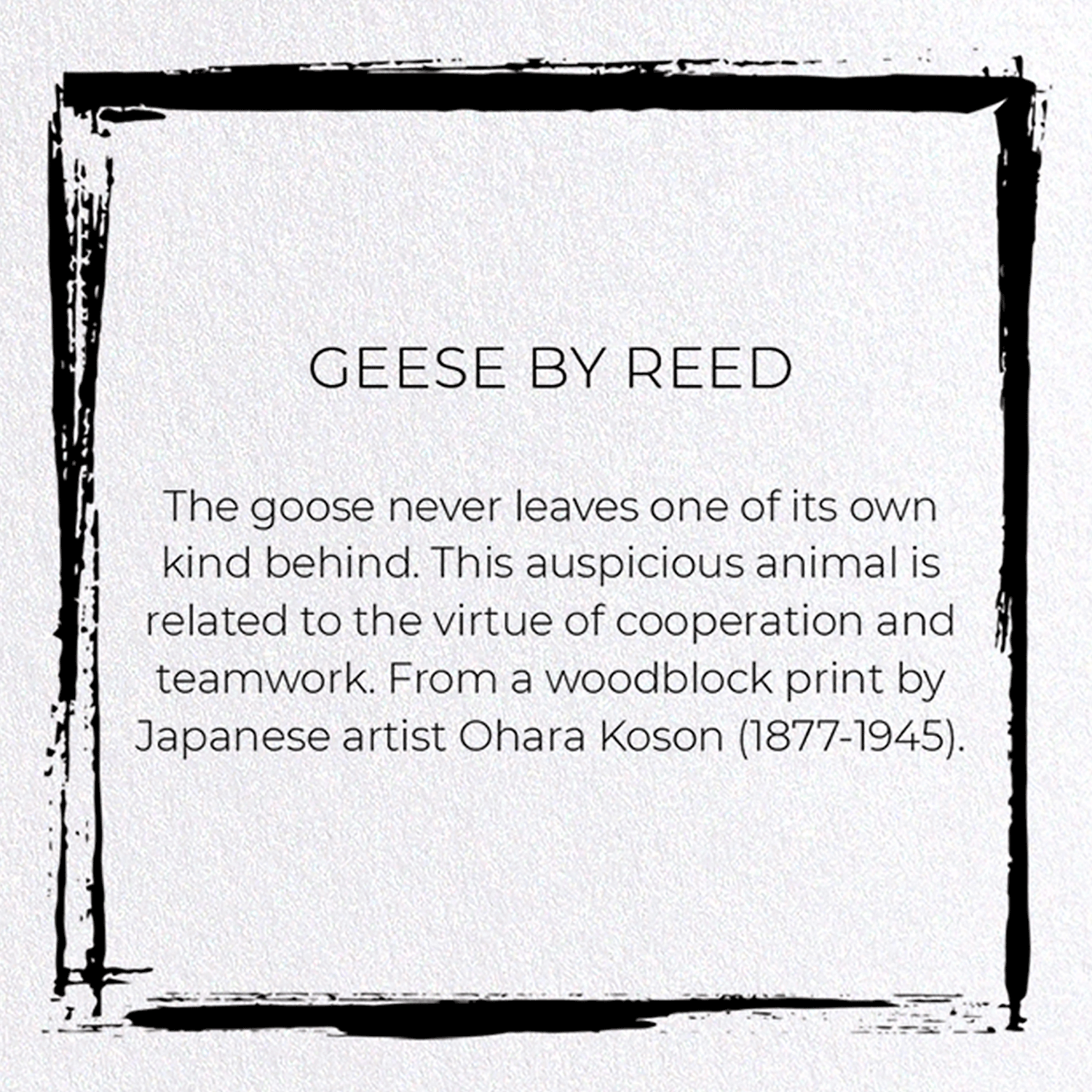 GEESE BY REED