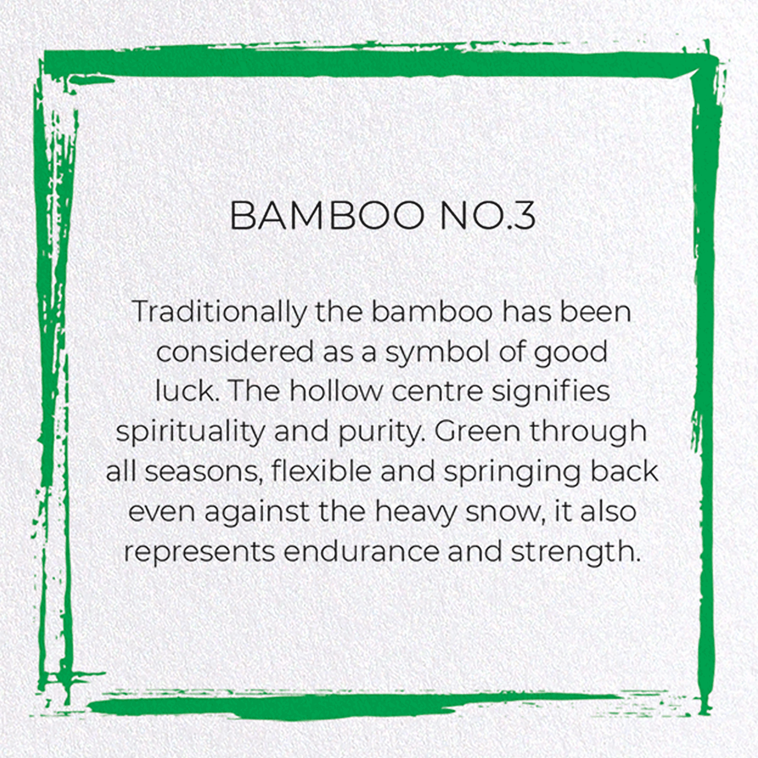 BAMBOO NO.3