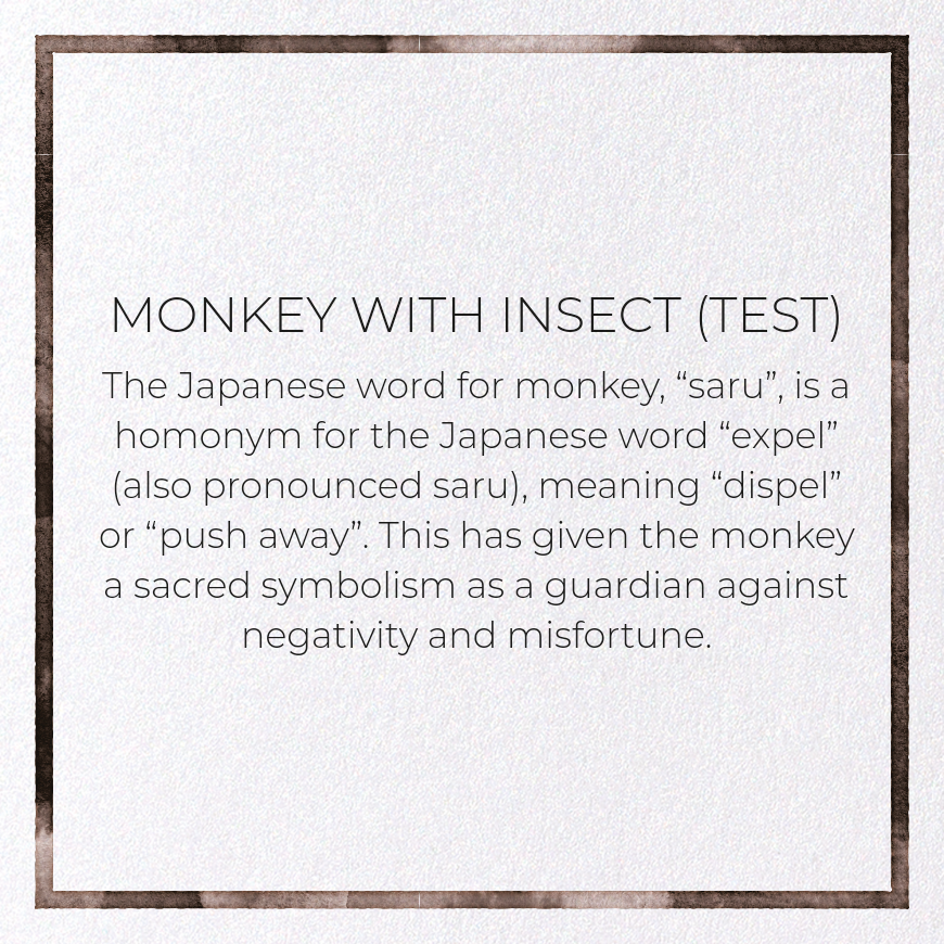 MONKEY WITH INSECT (TEST)
