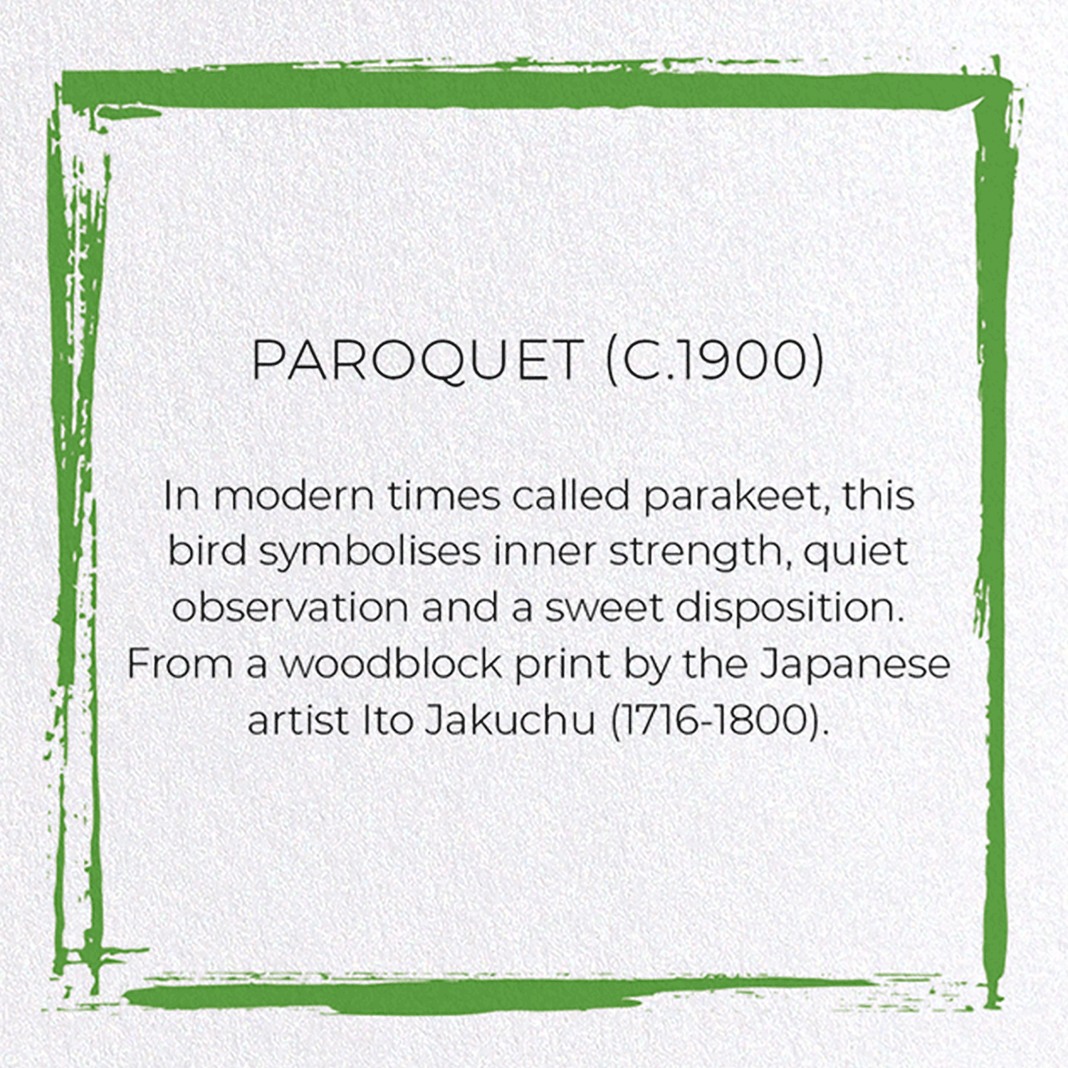 PAROQUET (C.1900)