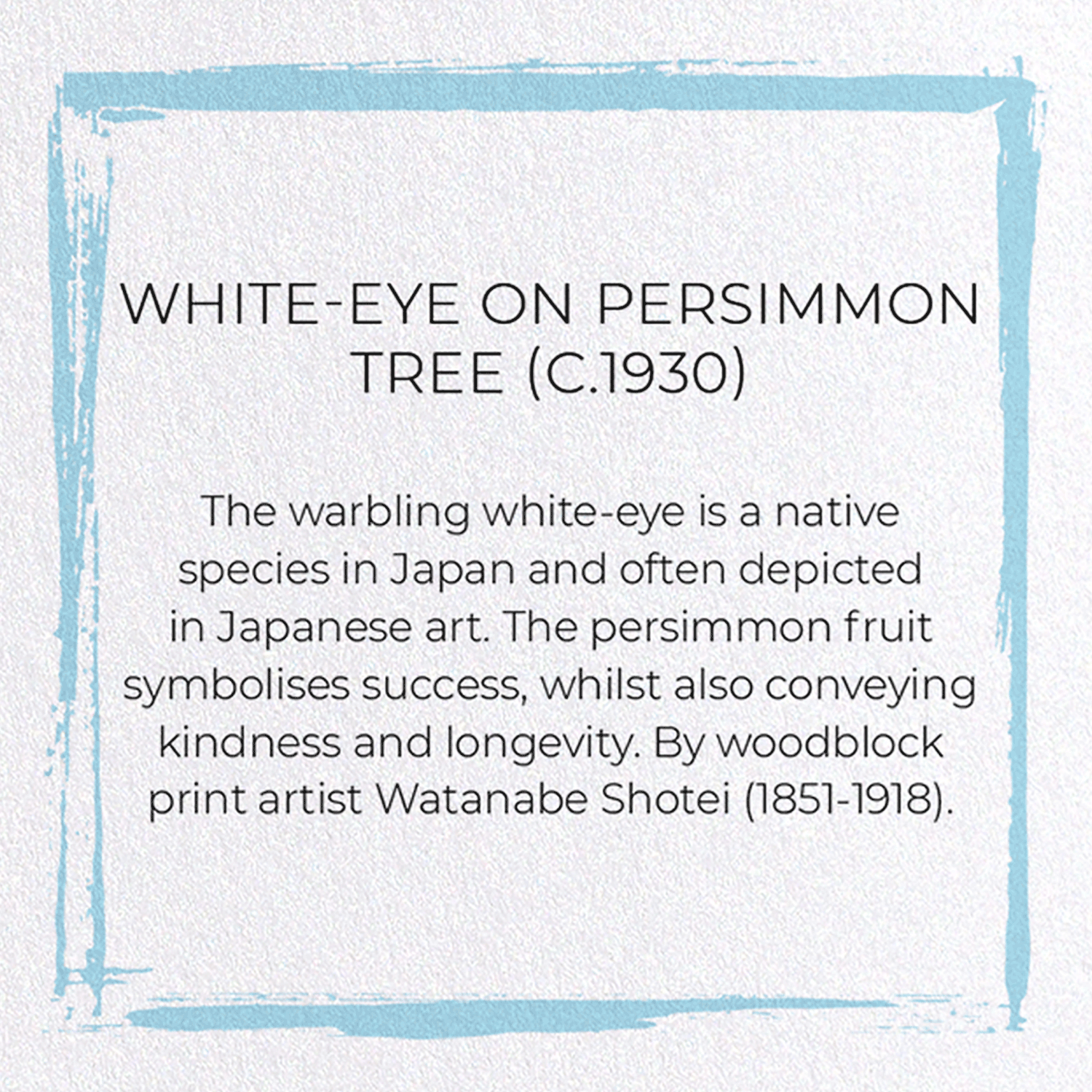 WHITE-EYE ON PERSIMMON TREE (C.1930)