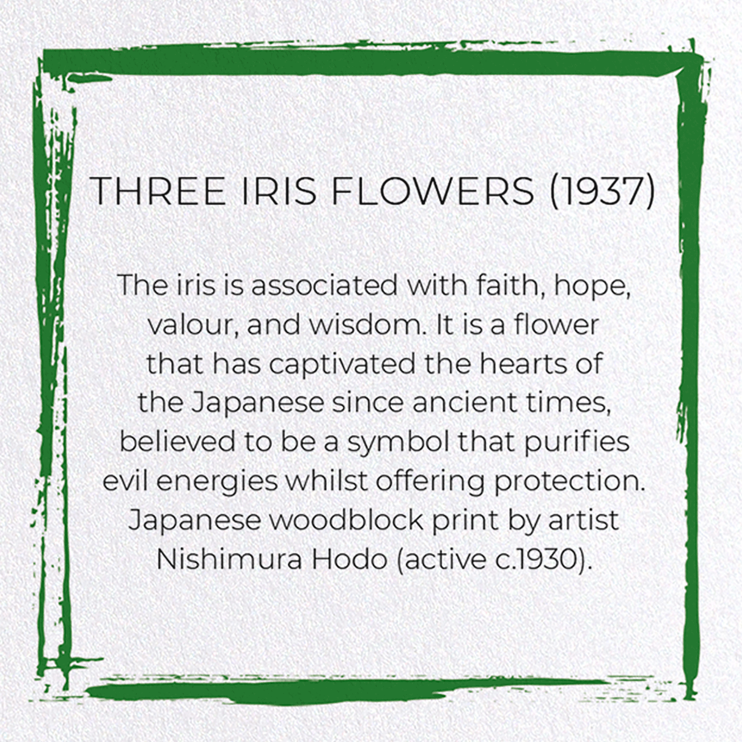 THREE IRIS FLOWERS (1937)