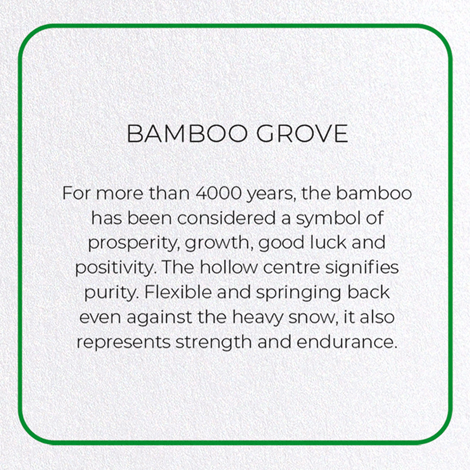 BAMBOO GROVE