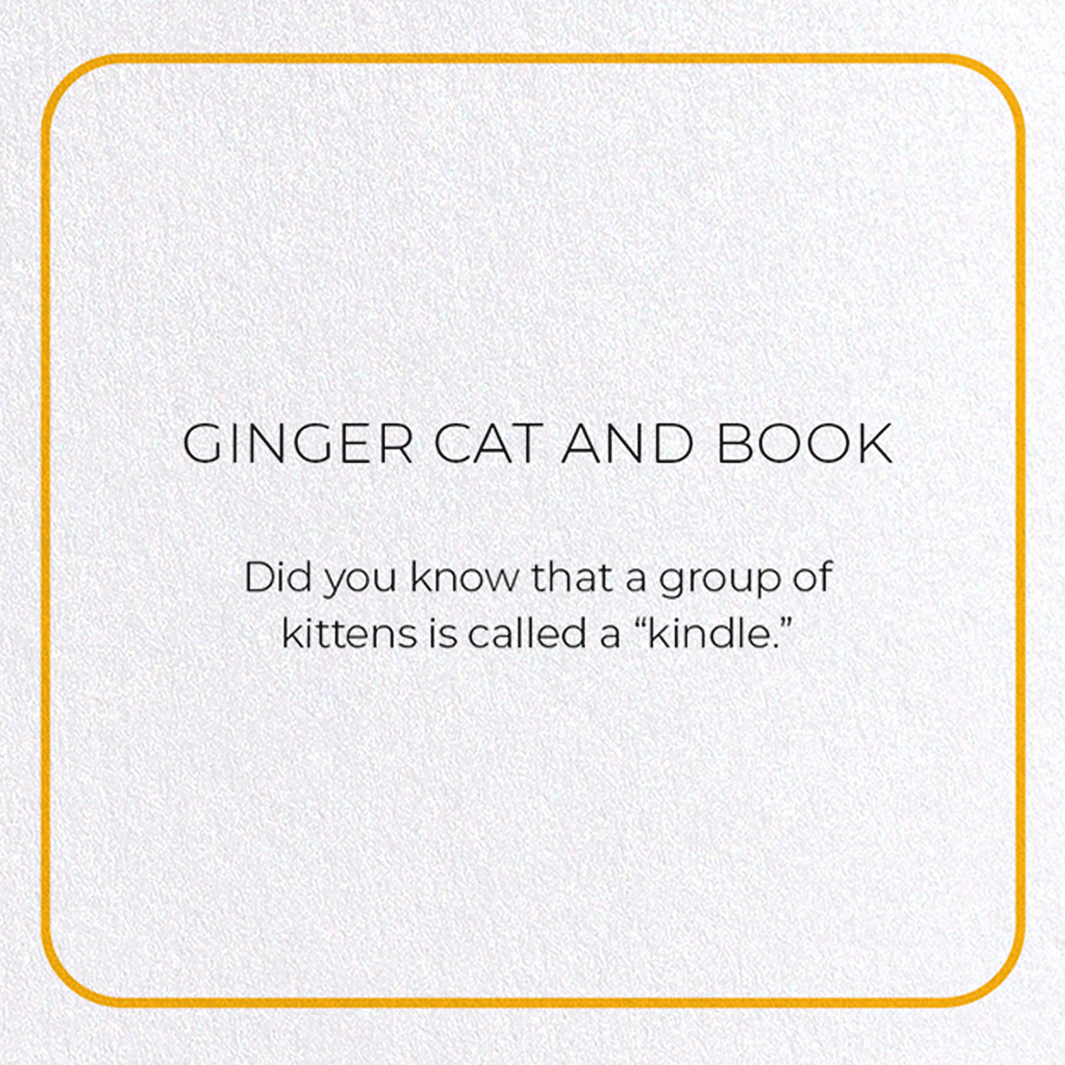 GINGER CAT AND BOOK