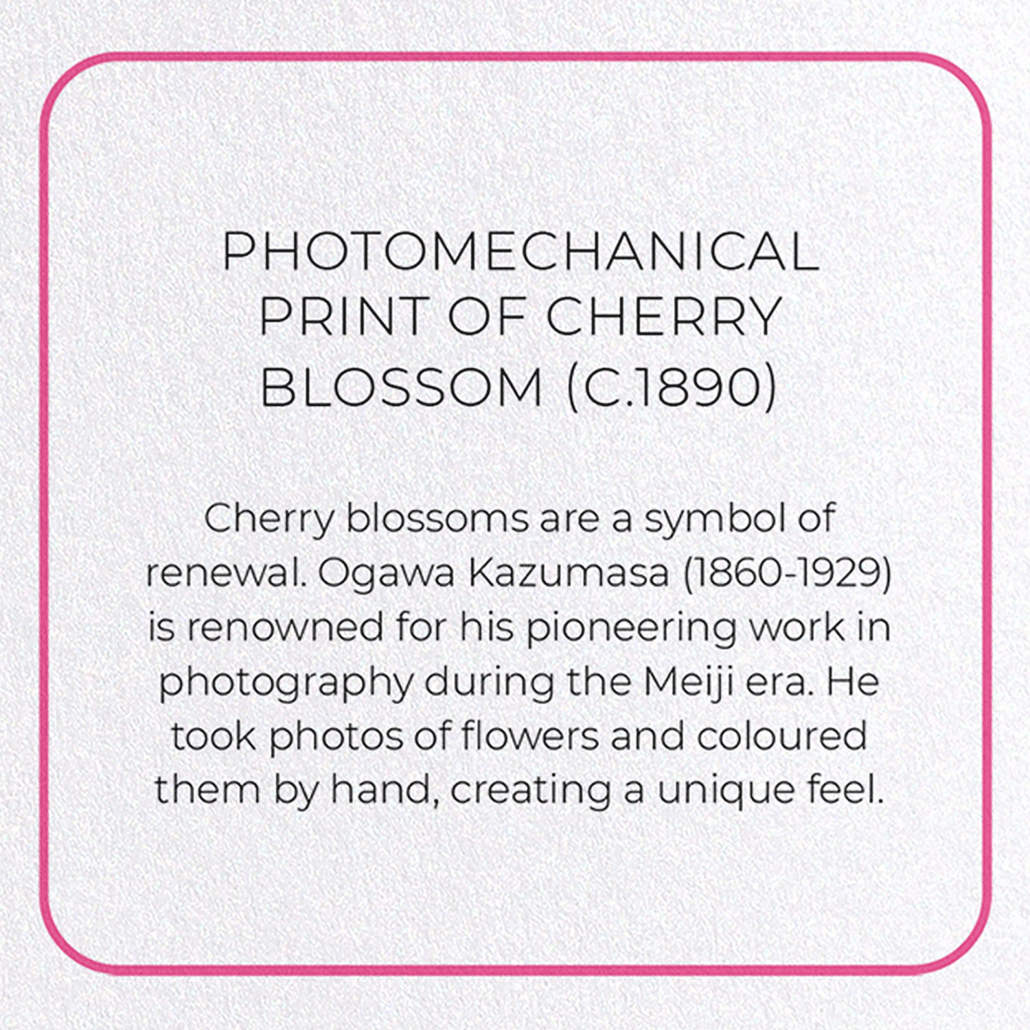 PHOTOMECHANICAL PRINT OF CHERRY BLOSSOM (C.1890)