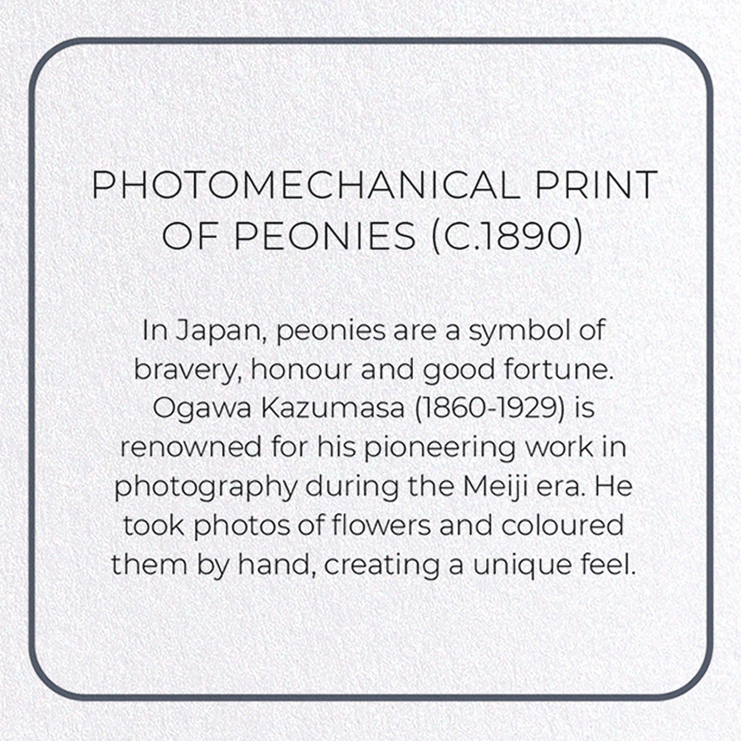 PHOTOMECHANICAL PRINT OF PEONIES (C.1890)