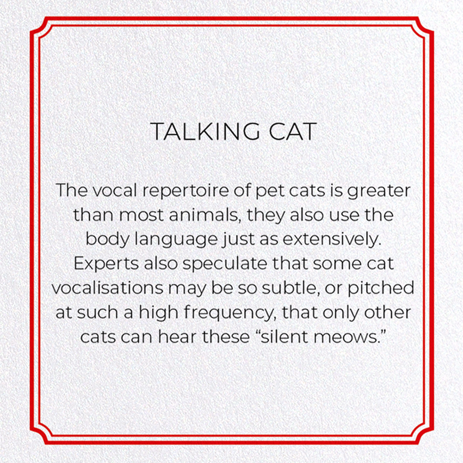 TALKING CAT