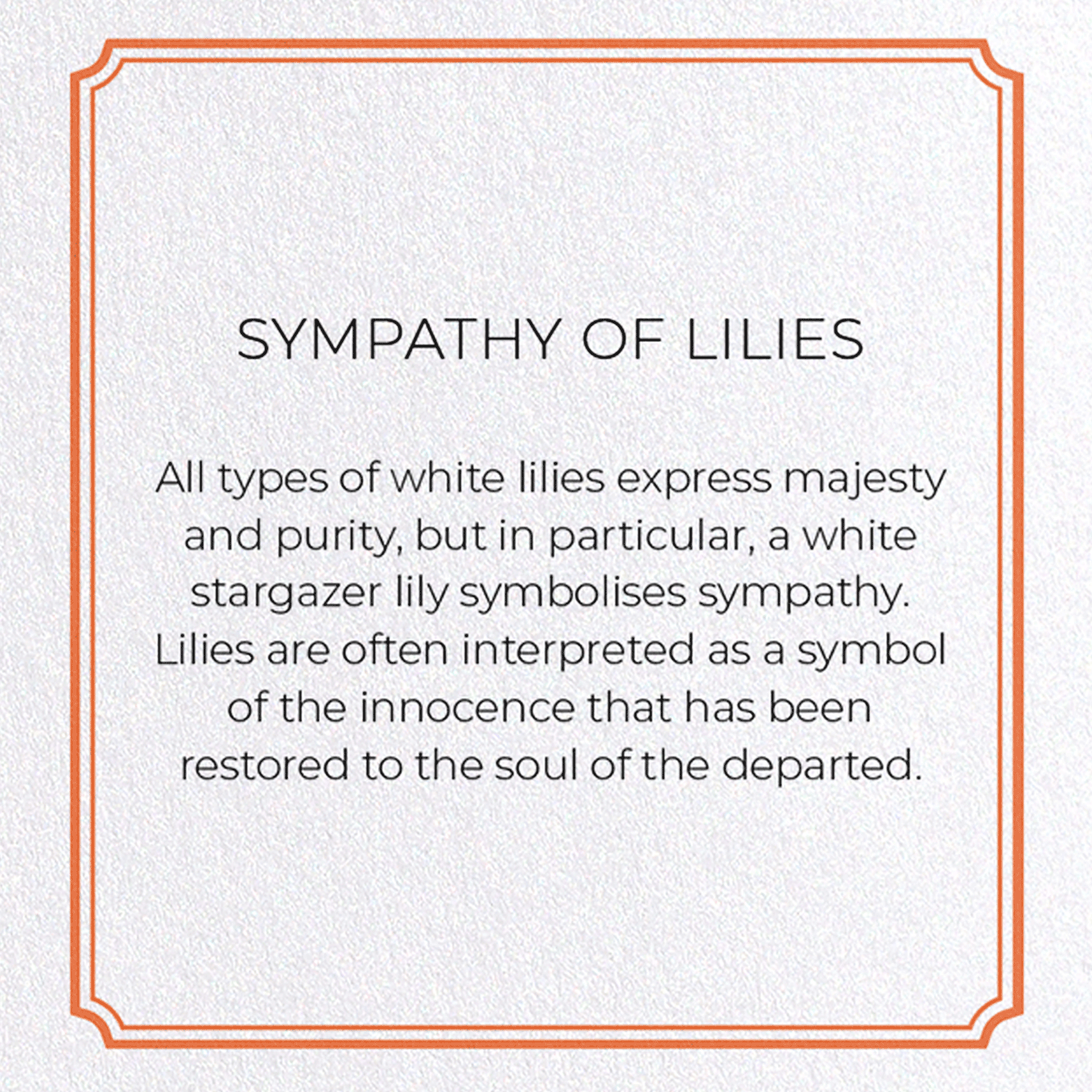 SYMPATHY OF LILIES