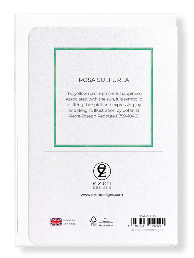 Ezen Designs - Rosa sulfurea - Greeting Card - Back