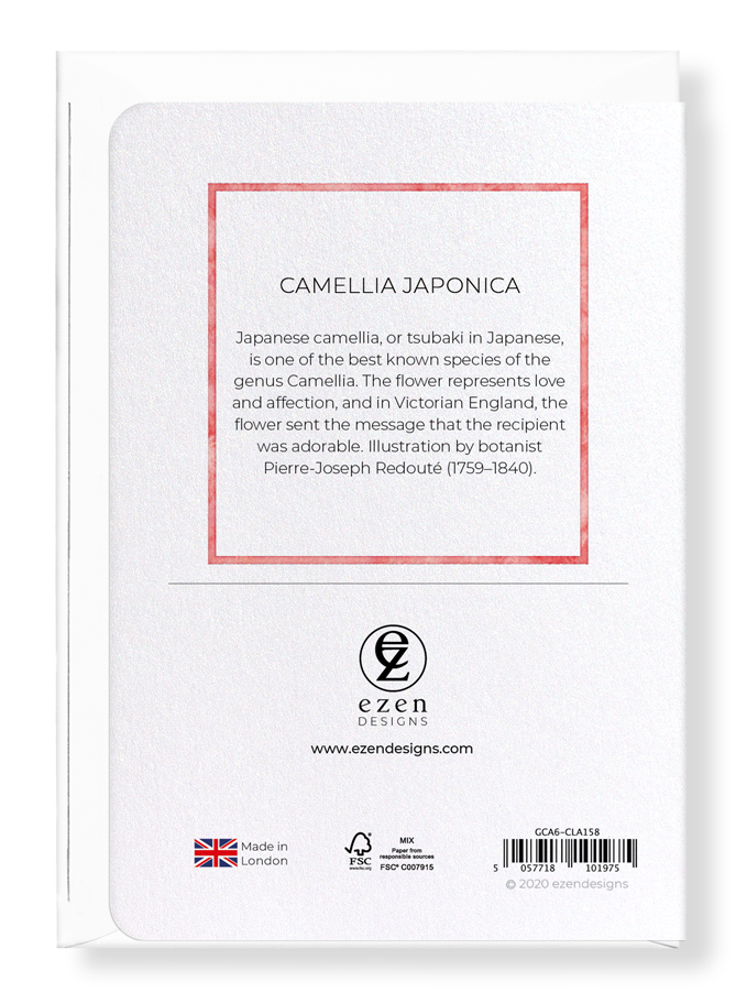 Ezen Designs - Camellia japonica - Greeting Card - Back