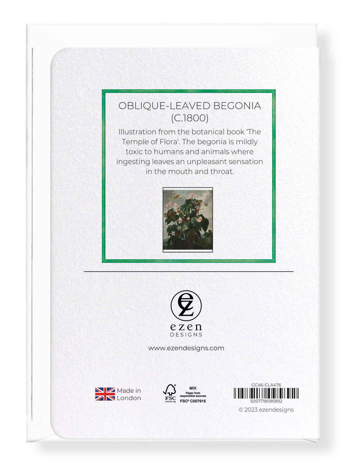 Ezen Designs - Oblique-leaved Begonia (c.1800) - Greeting Card - Back