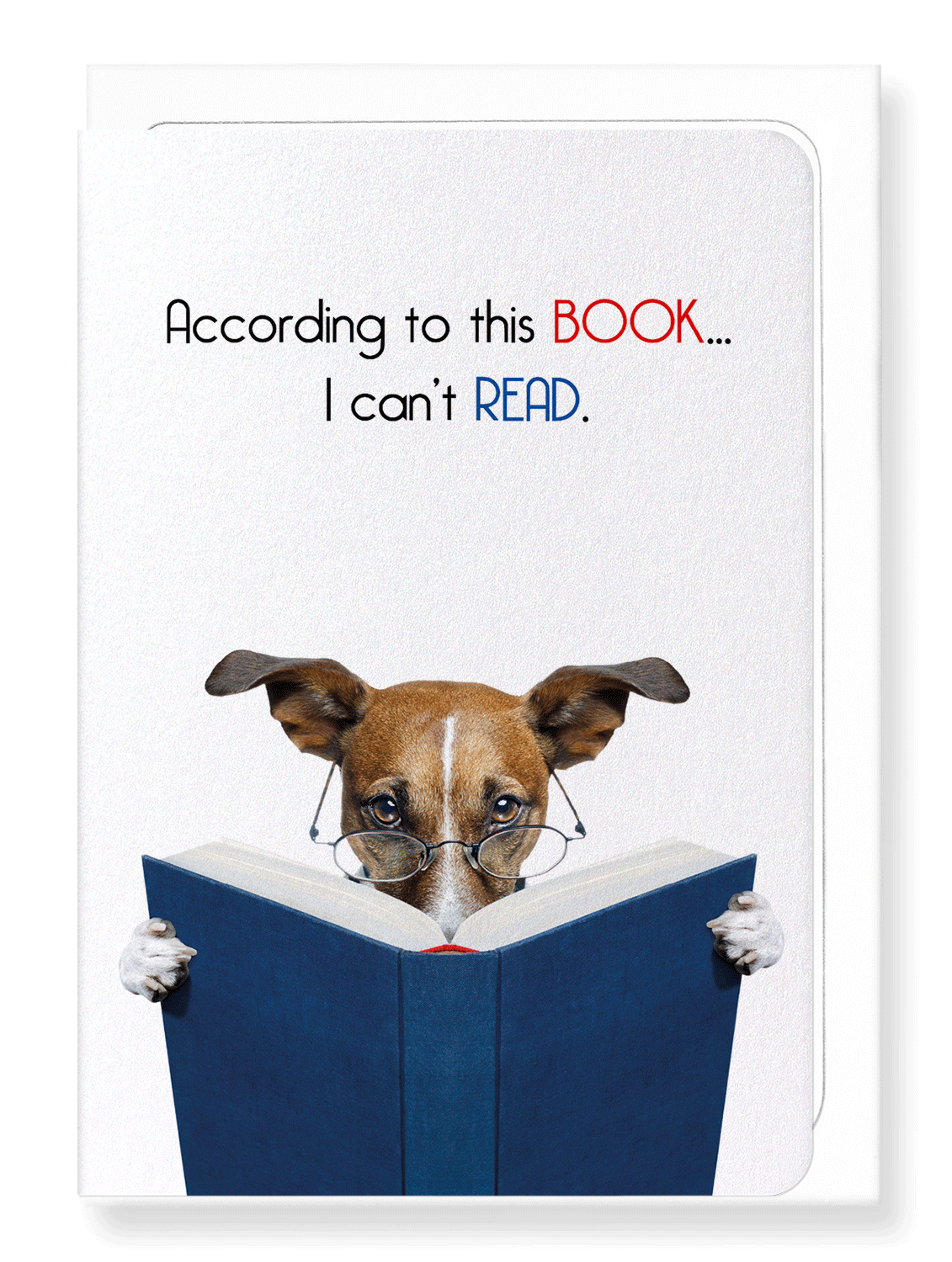 Ezen Designs - Book reading - Greeting Card - Front
