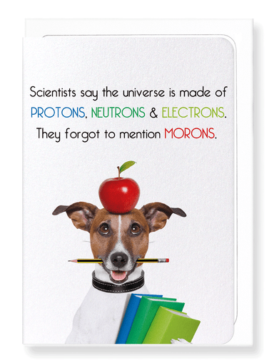 Ezen Designs - Universe and morons - Greeting Card - Front