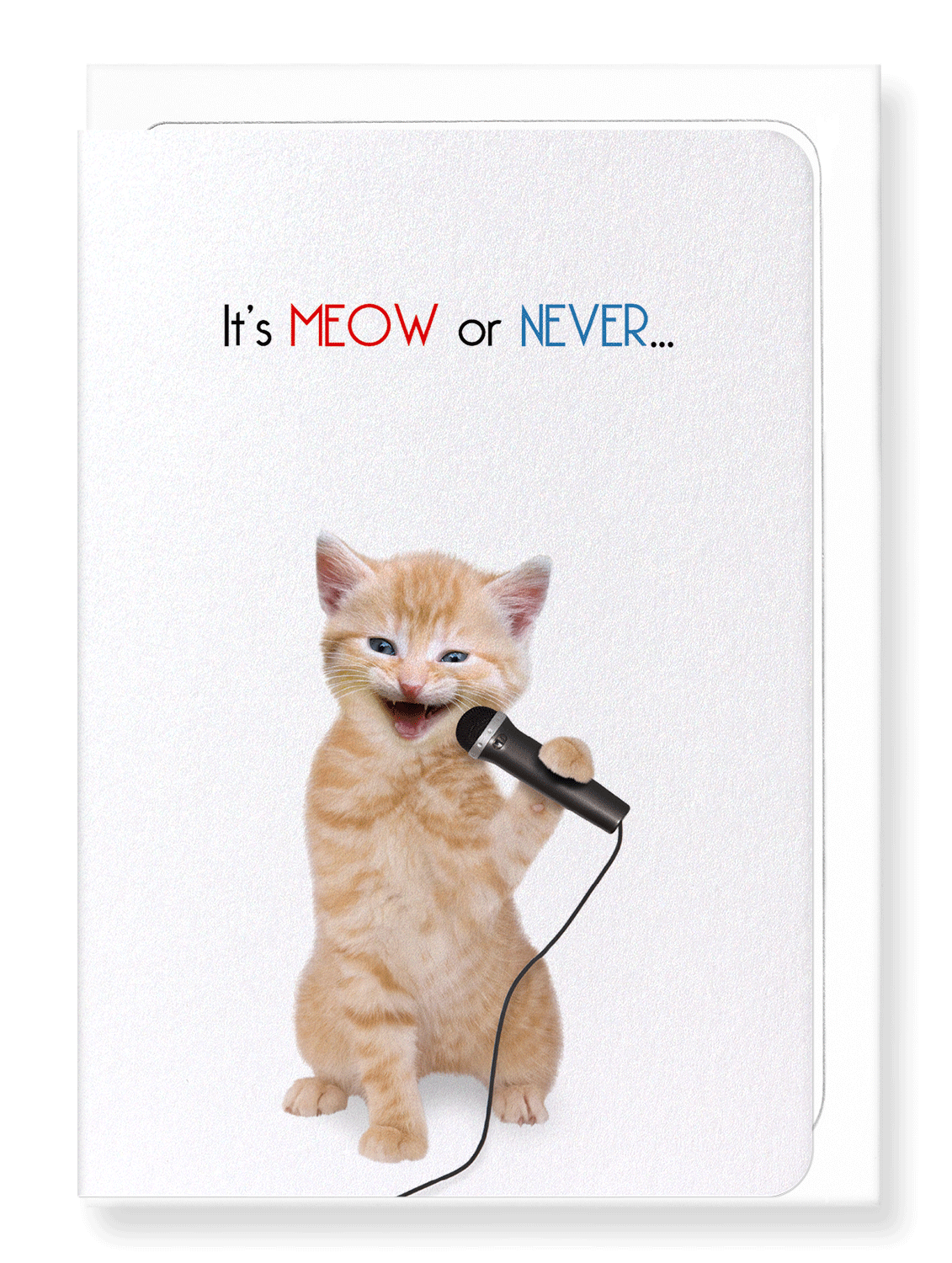 Ezen Designs - It's meow or never - Greeting Card - Front
