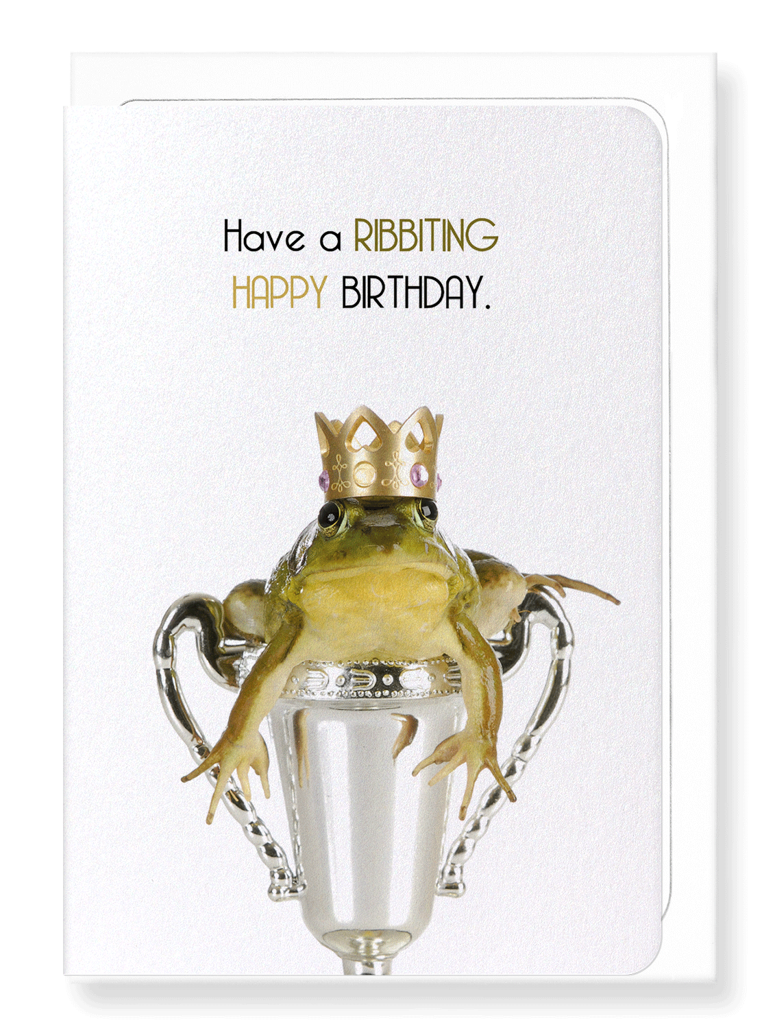 Ezen Designs - A ribbiting birthday - Greeting Card - Front