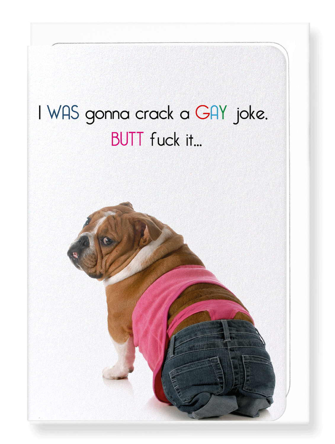 Ezen Designs - Gay joke butt fuck - Greeting Card - Front