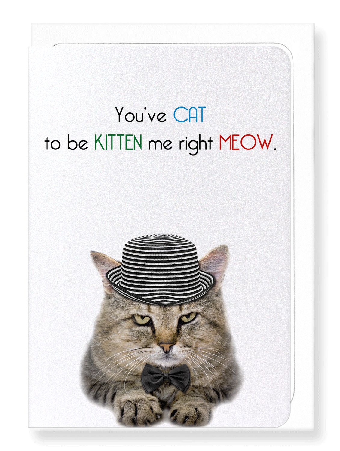 Ezen Designs - Cat to be kitten me - Greeting Card - Front