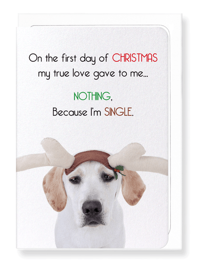 Ezen Designs - Because I'm single  - Greeting Card - Front