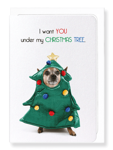 Ezen Designs - Under my christmas tree - Greeting Card - Front