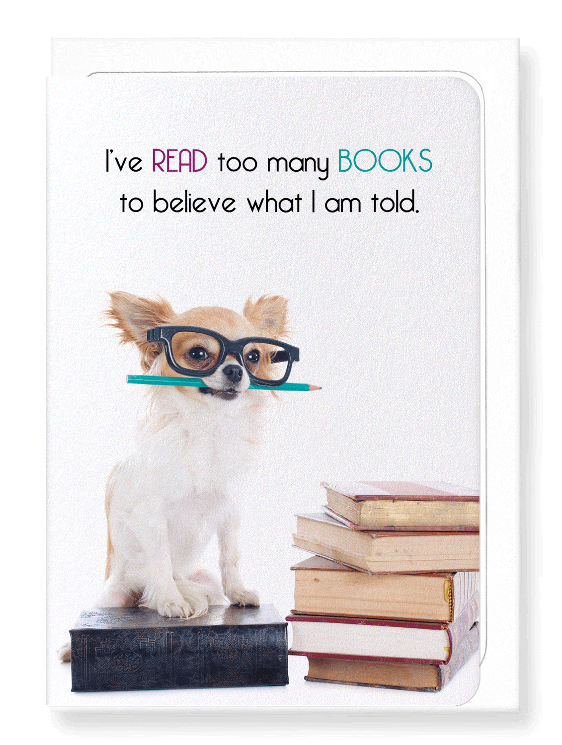 Ezen Designs - Books keep you informed - Greeting Card - Front