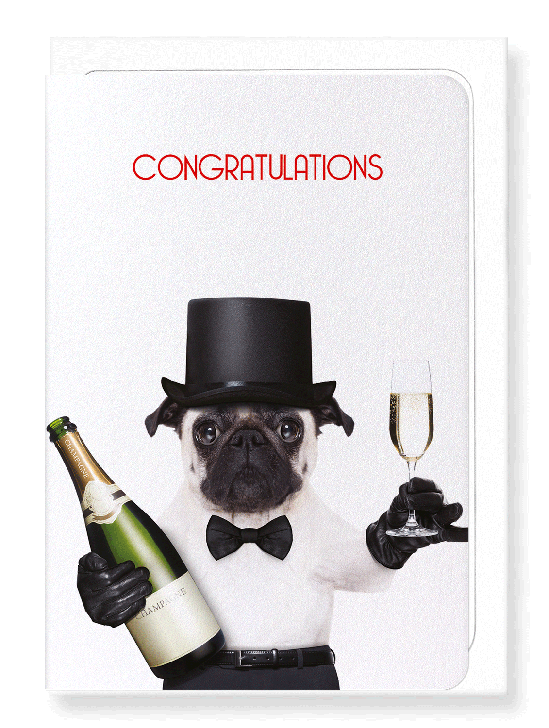 Ezen Designs - Congratulations from mr pug - Greeting Card - Front