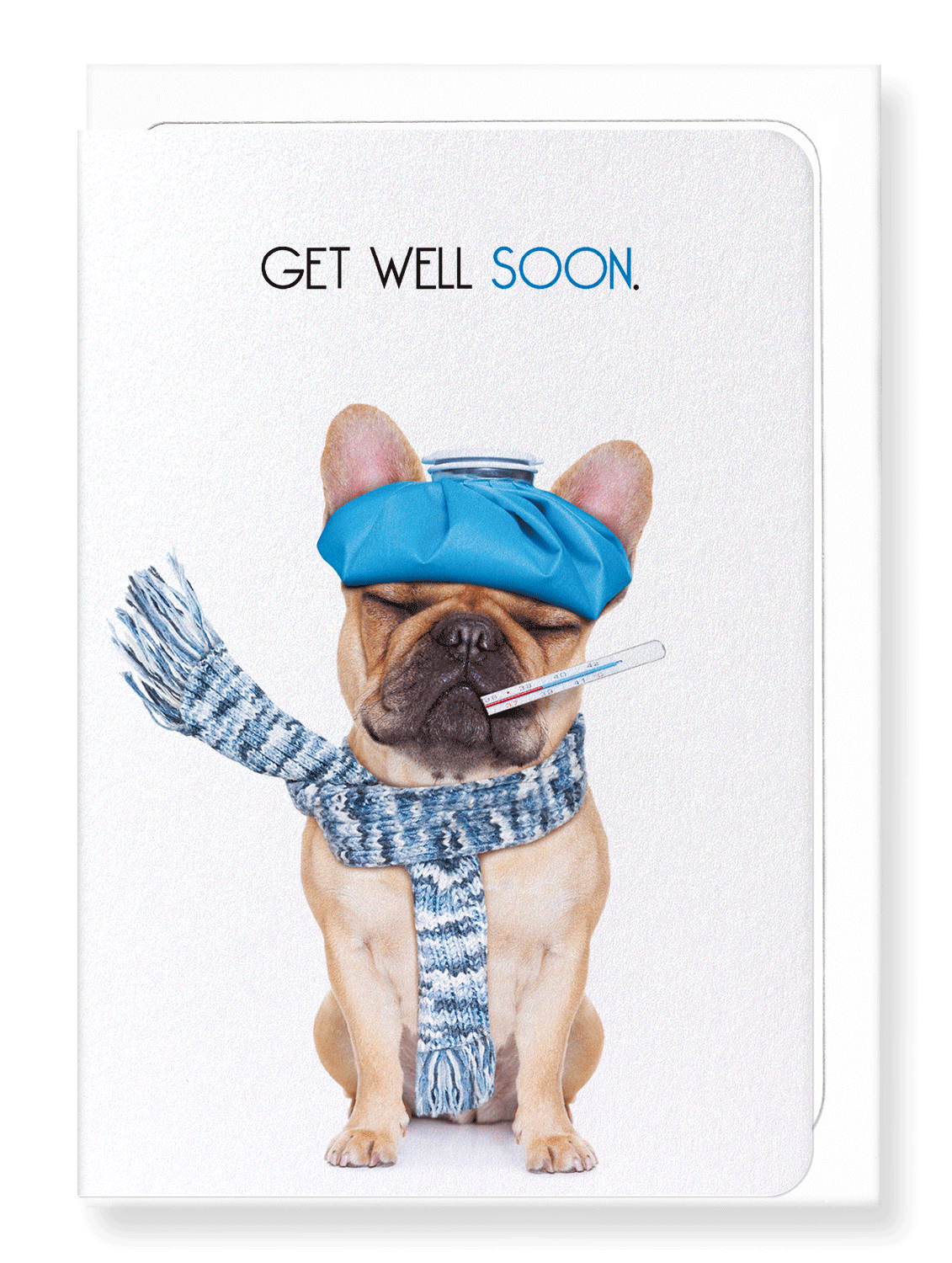 Ezen Designs - Get well soon frenchie  - Greeting Card - Front