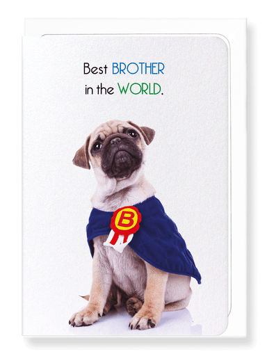 Ezen Designs - Best brother in the world - Greeting Card - Front