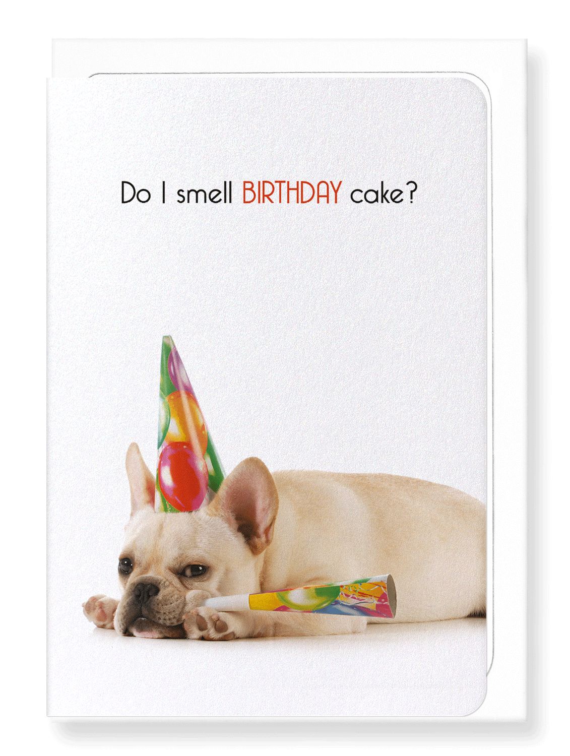 Ezen Designs - Do I smell birthday cake? - Greeting Card - Front