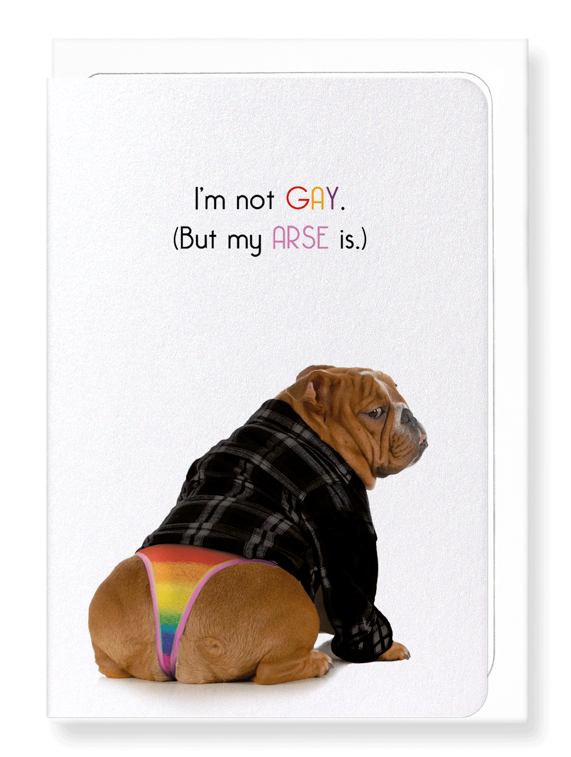 Ezen Designs - I'm not gay - Greeting Card - Front