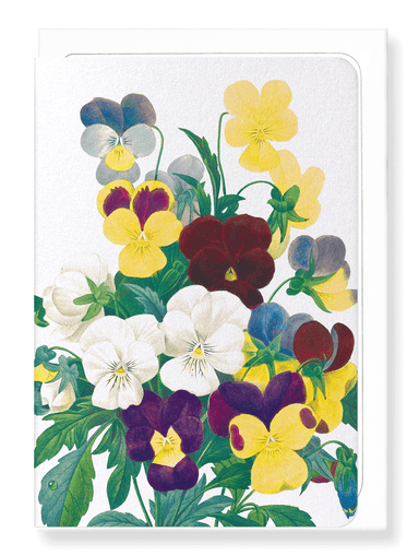 Ezen Designs - Bunch of pansies (detail) - Greeting Card - Front