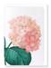 Ezen Designs - Hortensia (detail) - Greeting Card - Front