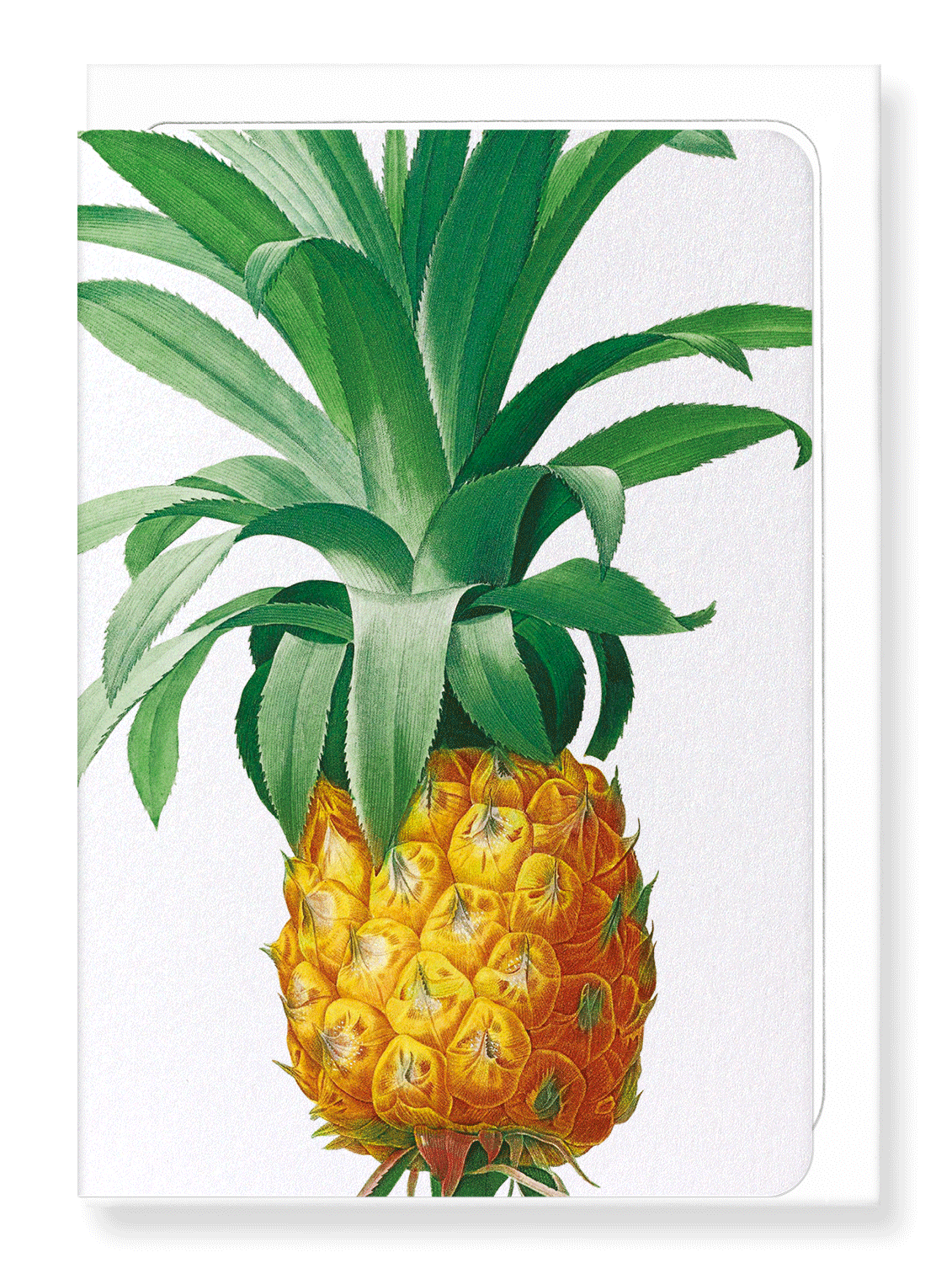 Ezen Designs - Pineapple (detail) - Greeting Card - Front