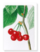 Ezen Designs - Cherries (detail) - Greeting Card - Front