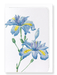 Ezen Designs - Butterfly flower  (detail) - Greeting Card - Front