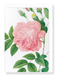 Ezen Designs - Pink rose No.1 (detail) - Greeting Card - Front