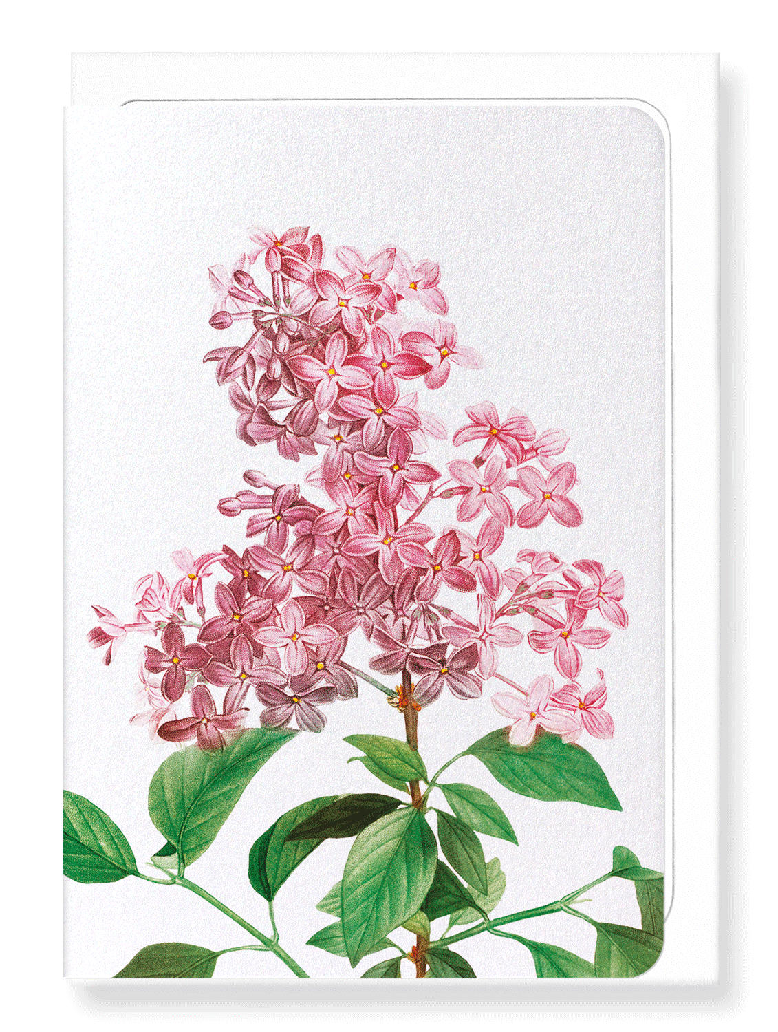 Ezen Designs - Lilac No.2 (detail) - Greeting Card - Front