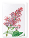 Ezen Designs - Lilac No.4 (detail) - Greeting Card - Front
