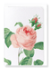 Ezen Designs - Pink rose No.2 (detail) - Greeting Card - Front
