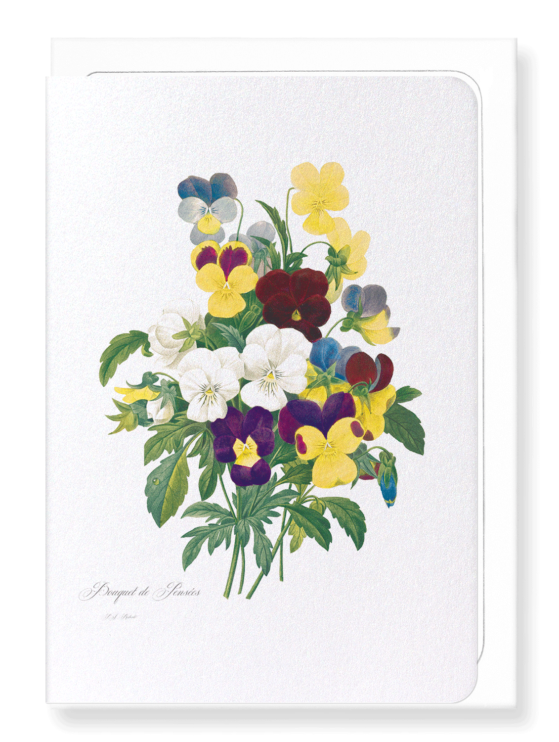 BUNCH OF PANSIES