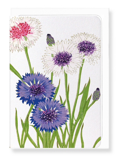 Ezen Designs - BIRDS OF PARADISE - Greeting Card - Front