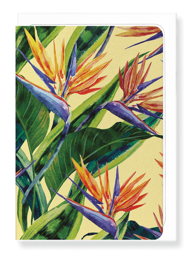 Ezen Designs - Birds of paradise - Greeting Card - Front