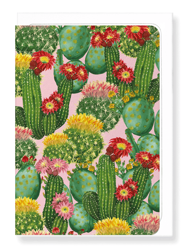 Ezen Designs - Colouful cacti - Greeting Card - Front