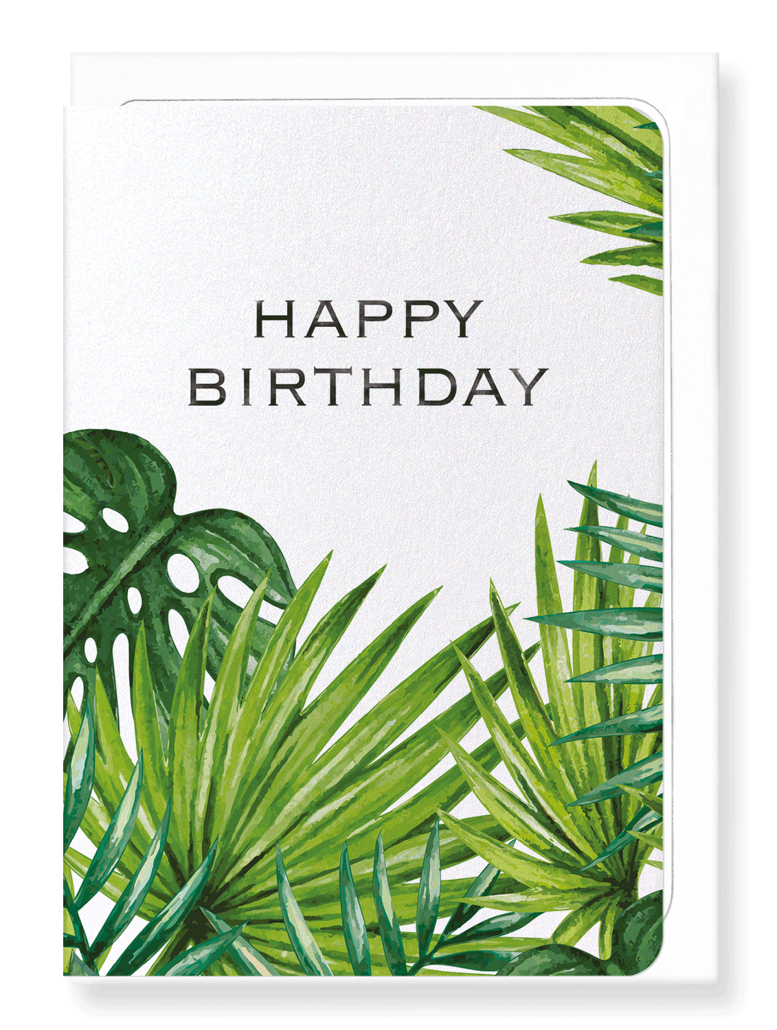 Ezen Designs - Birthday palm - Greeting Card - Front