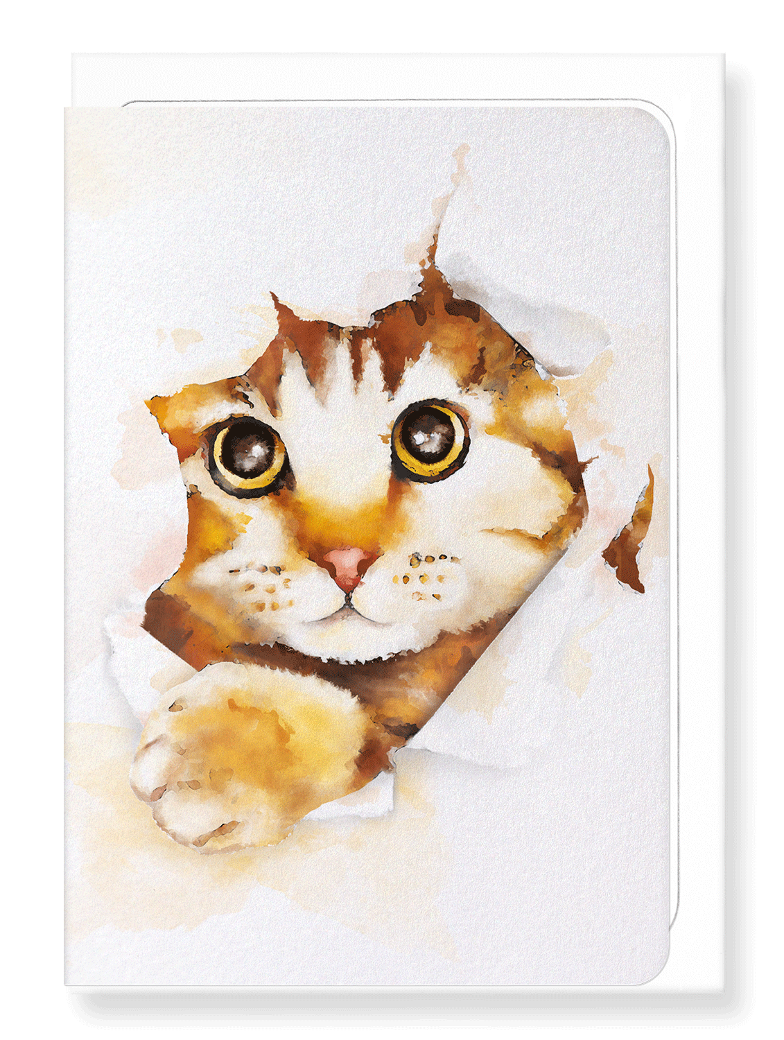 Ezen Designs - Hello kitty cat - Greeting Card - Front