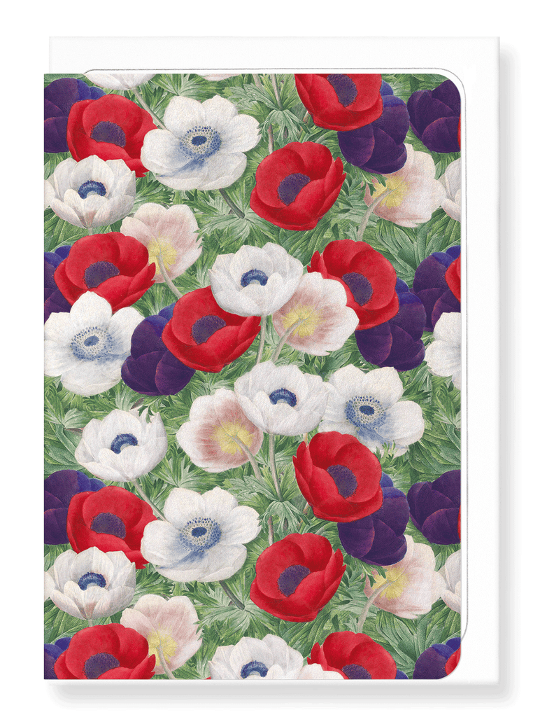 ANEMONE — Ezen Designs