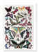 Ezen Designs - Butterfly (1907) - Greeting Card - Front