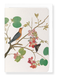 Ezen Designs - Orange bird on orchid Branch (1778) - Greeting Card - Front