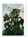Ezen Designs - Oblique-leaved Begonia (c.1800) - Greeting Card - Front