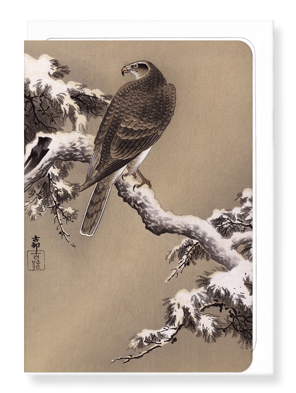 Ezen Designs - Eagle and pine tree - Greeting Card - Front