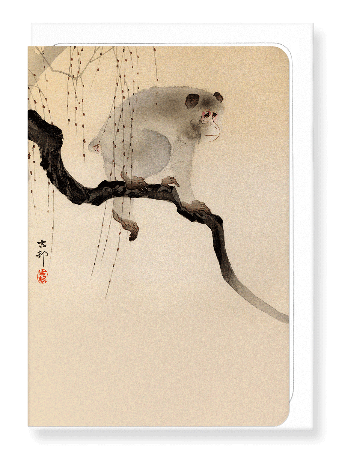 Ezen Designs - Monkey in a tree - Greeting Card - Front
